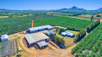 Rural / Farming commercial property for sale at 737 Channel Road Walkamin QLD 4872 Rural / Farming commercial property for sale at 737 Channel Road Walkamin QLD 4872