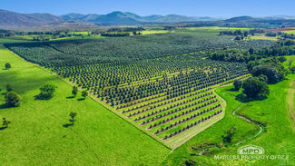 Rural / Farming commercial property for sale at 46 Hughes Road Upper Barron QLD 4883 Rural / Farming commercial property for sale at 46 Hughes Road Upper Barron QLD 4883