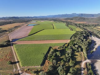 Rural / Farming commercial property for sale at 215 Bloomsbury Back Road Bloomsbury QLD 4799 Rural / Farming commercial property for sale at 215 Bloomsbury Back Road Bloomsbury QLD 4799