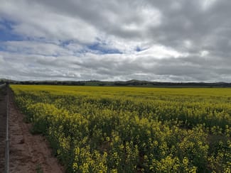 Rural / Farming commercial property for sale at 25/ Brownlow Road Neales Flat SA 5374 Rural / Farming commercial property for sale at 25/ Brownlow Road Neales Flat SA 5374