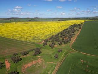 Rural / Farming commercial property for sale at 25/ Brownlow Road Neales Flat SA 5374 Rural / Farming commercial property for sale at 25/ Brownlow Road Neales Flat SA 5374