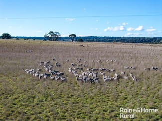 Rural / Farming commercial property for sale at 3150 Range Road Bannister NSW 2580 Rural / Farming commercial property for sale at 3150 Range Road Bannister NSW 2580
