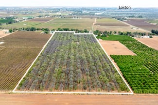 Rural / Farming commercial property for sale at Lot 1 Briers Road Loxton SA 5333