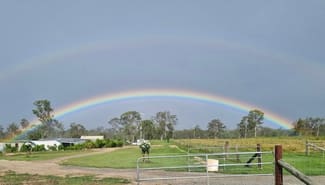 Rural / Farming commercial property for sale at 594 Promisedland Road Promisedland QLD 4660