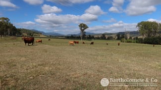 Rural / Farming commercial property for sale at 1459 Christmas Creek Road Christmas Creek QLD 4285
