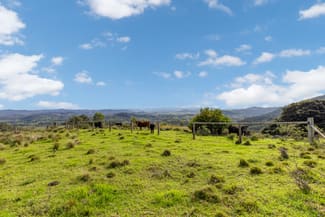 Rural / Farming commercial property for sale at 526 Torryburn Road Torryburn NSW 2421 Rural / Farming commercial property for sale at 526 Torryburn Road Torryburn NSW 2421