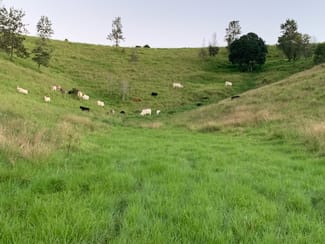 Rural / Farming commercial property for sale at 396 Kooralgin-Upper Yarraman Road Kooralgin QLD 4402