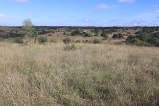 Rural / Farming commercial property for sale at 20963 Burnett Highway Mundubbera QLD 4626