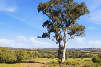 Rural / Farming commercial property for sale at Lot 1/872 Dicks Creek Road Murrumbateman NSW 2582