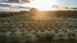 Rural / Farming commercial property for sale at 1544 Fisheries Road Myrup WA 6450 Rural / Farming commercial property for sale at 1544 Fisheries Road Myrup WA 6450
