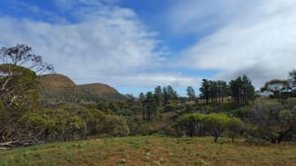 Rural / Farming commercial property sold at Lot 1 Parachilna Gorge Road Blinman SA 5730 Rural / Farming commercial property sold at Lot 1 Parachilna Gorge Road Blinman SA 5730