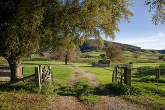 Rural / Farming commercial property for sale at 5494 Kiewa Valley Highway Running Creek VIC 3691