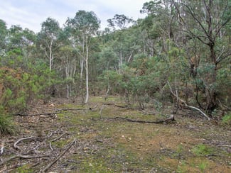 Rural / Farming commercial property sold at 1648 Cassilis Road Cassilis VIC 3898