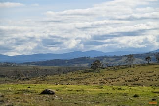 Rural / Farming commercial property sold at "Part Braeside" Caddigat Road Dry Plain NSW 2630