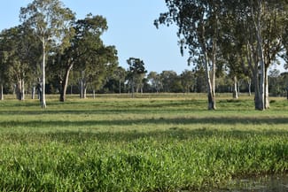 Rural / Farming commercial property sold at 174 Habana Wharf Road Habana QLD 4740 Rural / Farming commercial property sold at 174 Habana Wharf Road Habana QLD 4740