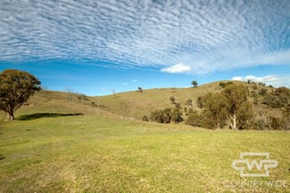 Rural / Farming commercial property sold at Lot 21 Halls Creek Road Bendemeer NSW 2355 Rural / Farming commercial property sold at Lot 21 Halls Creek Road Bendemeer NSW 2355