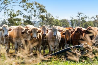 Rural / Farming commercial property for sale at 14478 D'Aguillar Highway Nanango QLD 4615
