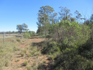 Rural / Farming commercial property sold at Lot 17 Staines Road Tara QLD 4421 Rural / Farming commercial property sold at Lot 17 Staines Road Tara QLD 4421