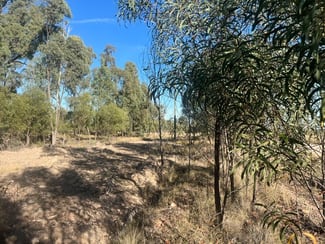 Rural / Farming commercial property sold at Lot 7 Cartens Lane Tara QLD 4421 Rural / Farming commercial property sold at Lot 7 Cartens Lane Tara QLD 4421