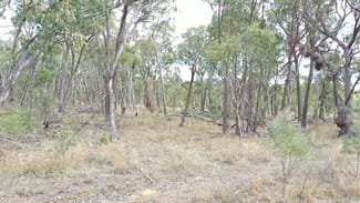 Rural / Farming commercial property for sale at Lot 3 Halls Creek Road Halls Creek NSW 2346