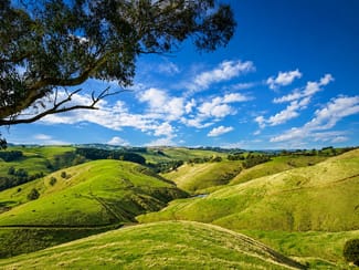 Rural / Farming commercial property for sale at 86 McNaughtons Road Wild Dog Valley VIC 3953 Rural / Farming commercial property for sale at 86 McNaughtons Road Wild Dog Valley VIC 3953