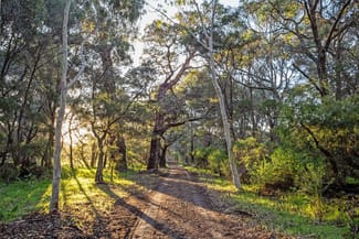 Rural / Farming commercial property sold at 546 Boodjidup Road Redgate WA 6286 Rural / Farming commercial property sold at 546 Boodjidup Road Redgate WA 6286