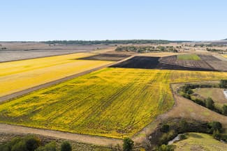 Rural / Farming commercial property for sale at 2/ Hillside Road Allora QLD 4362 Rural / Farming commercial property for sale at 2/ Hillside Road Allora QLD 4362