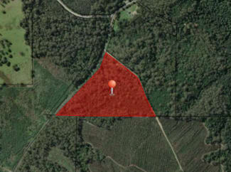 Rural / Farming commercial property for sale at Lot 1 Roger River Roger River TAS 7330 Rural / Farming commercial property for sale at Lot 1 Roger River Roger River TAS 7330