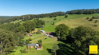 Rural / Farming commercial property for sale at 235 Beaumonts Road Dorrigo NSW 2453 Rural / Farming commercial property for sale at 235 Beaumonts Road Dorrigo NSW 2453