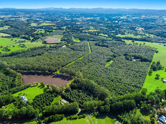 Rural / Farming commercial property for sale at 269 Sneaths Road Wollongbar NSW 2477
