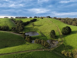 Rural / Farming commercial property for sale at 255 Buffalo North Road Buffalo VIC 3958