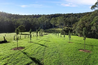 Rural / Farming commercial property for sale at 255 Brush Creek Road Cedar Brush Creek NSW 2259 Rural / Farming commercial property for sale at 255 Brush Creek Road Cedar Brush Creek NSW 2259