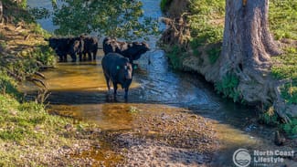 Rural / Farming commercial property for sale at 5644 Tweed Valley Way Crabbes Creek NSW 2483