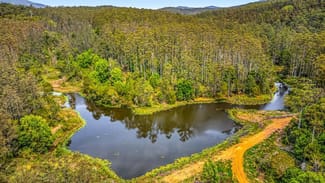 Rural / Farming commercial property for sale at 2984 Kyogle Road Kunghur NSW 2484 Rural / Farming commercial property for sale at 2984 Kyogle Road Kunghur NSW 2484
