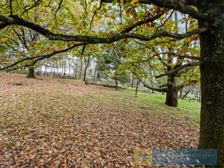 Rural / Farming commercial property for sale at Lot 1 & 2 McCombes Road Creek Junction VIC 3669 Rural / Farming commercial property for sale at Lot 1 & 2 McCombes Road Creek Junction VIC 3669