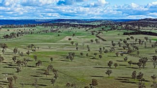 Rural / Farming commercial property for sale at 91 Gill Road Walcha NSW 2354