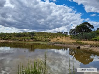 Rural / Farming commercial property for sale at 1 Barry Lane Tooborac VIC 3522 Rural / Farming commercial property for sale at 1 Barry Lane Tooborac VIC 3522