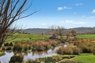 Rural / Farming commercial property for sale at 5506 Castlereagh Highway Running Stream NSW 2850