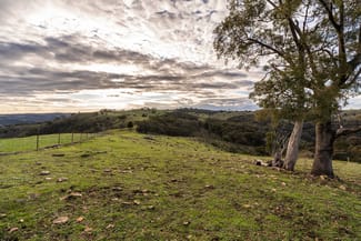 Rural / Farming commercial property for sale at 1316 Bundalah Road Euchareena NSW 2866 Rural / Farming commercial property for sale at 1316 Bundalah Road Euchareena NSW 2866
