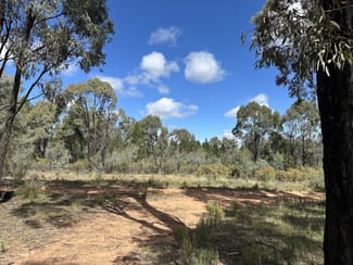 Rural / Farming commercial property for sale at 572 Box Ridge Road Binnaway NSW 2395 Rural / Farming commercial property for sale at 572 Box Ridge Road Binnaway NSW 2395