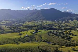 Rural / Farming commercial property for sale at 211 Tyalgum Creek Road Tyalgum Creek NSW 2484