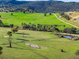 Rural / Farming commercial property for sale at 185 Trout Farm Road Wyangala NSW 2808 Rural / Farming commercial property for sale at 185 Trout Farm Road Wyangala NSW 2808