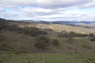 Rural / Farming commercial property sold at 1453 Windeyer Road Mudgee NSW 2850 Rural / Farming commercial property sold at 1453 Windeyer Road Mudgee NSW 2850
