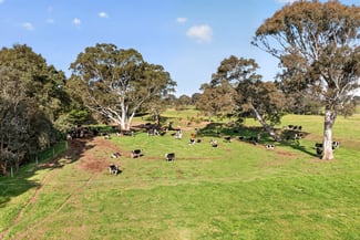 Rural / Farming commercial property sold at 633 Mewburn Park Road Maffra VIC 3860 Rural / Farming commercial property sold at 633 Mewburn Park Road Maffra VIC 3860