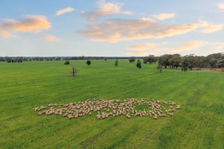 Rural / Farming commercial property for sale at 679 Bellarwi Road West Wyalong NSW 2671 Rural / Farming commercial property for sale at 679 Bellarwi Road West Wyalong NSW 2671