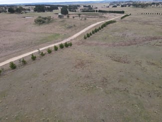 Rural / Farming commercial property for sale at 187 Woodhouselee Road Wayo NSW 2580