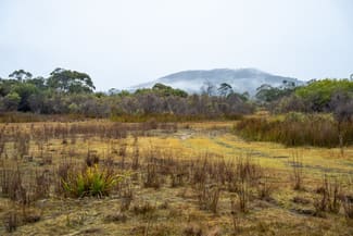 Rural / Farming commercial property for sale at 202-238 Flacks Road Coles Bay TAS 7215 Rural / Farming commercial property for sale at 202-238 Flacks Road Coles Bay TAS 7215
