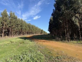 Rural / Farming commercial property sold at 681 Chorkerup Road Narrikup WA 6326