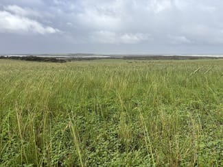 Rural / Farming commercial property sold at Lot 11 Sceale Bay Road Yanerbie SA 5680