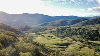 Rural / Farming commercial property for sale at "Bindallah Sth" Warlands Creek Road Blandford NSW 2338 Rural / Farming commercial property for sale at "Bindallah Sth" Warlands Creek Road Blandford NSW 2338